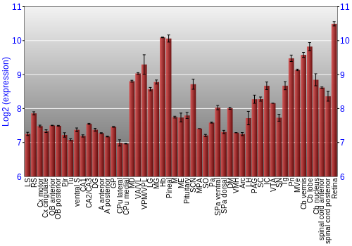 Expression graph