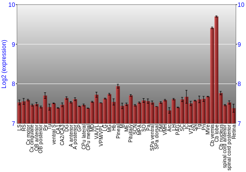 Expression graph