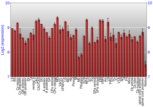 Expression graph