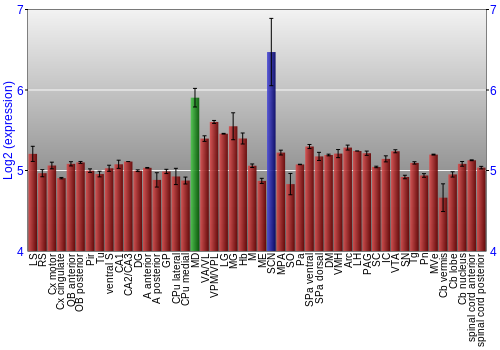 Multi-state expression graph