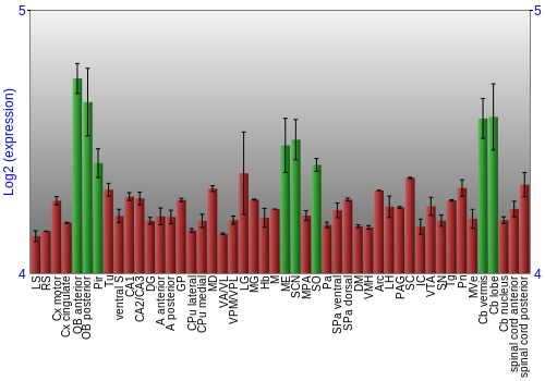 Multi-state expression graph