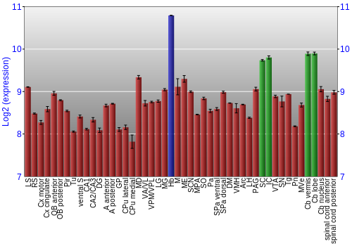 Multi-state expression graph
