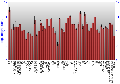 Expression graph