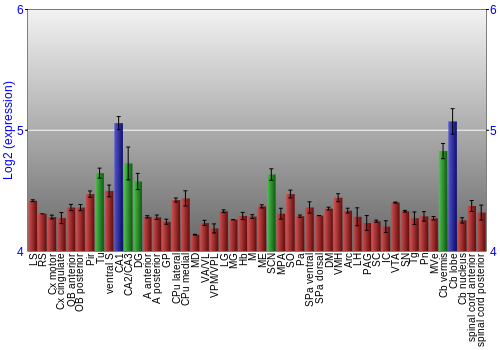 Multi-state expression graph