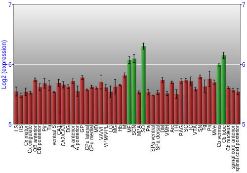 Multi-state expression graph