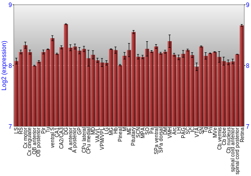 Expression graph