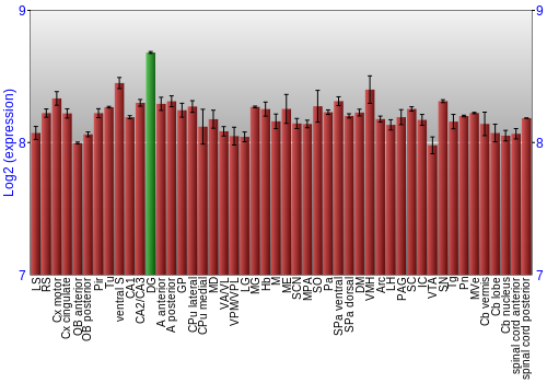 Multi-state expression graph