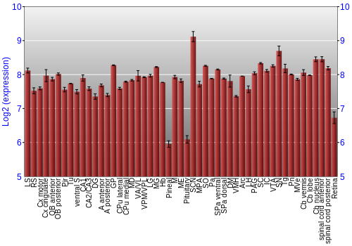 Expression graph