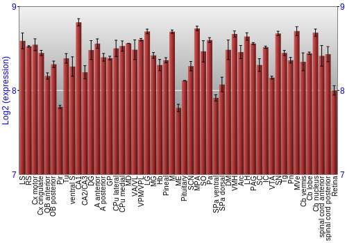Expression graph
