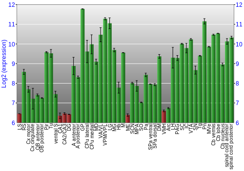 Multi-state expression graph