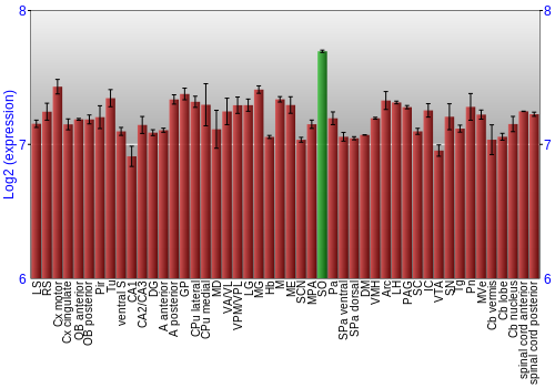 Multi-state expression graph