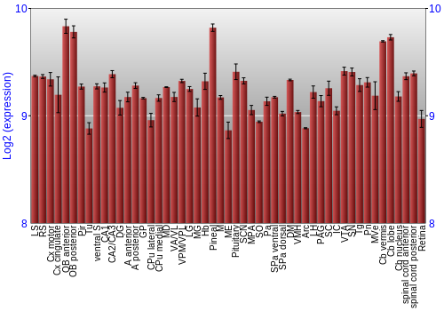 Expression graph
