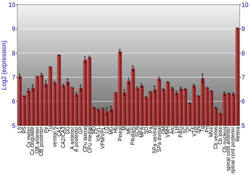 Expression graph