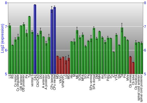 Multi-state expression graph