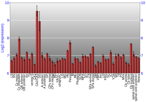 Expression graph