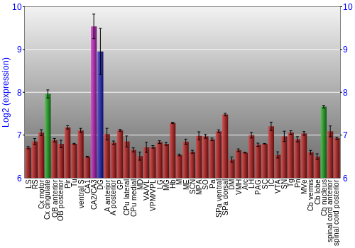 Multi-state expression graph