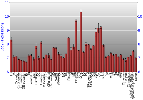 Expression graph