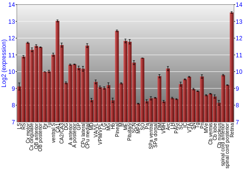 Expression graph