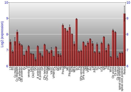 Expression graph