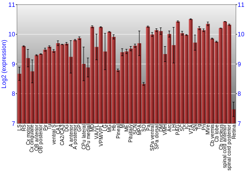 Expression graph