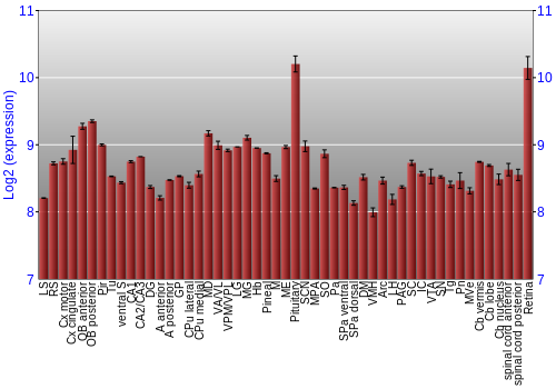 Expression graph