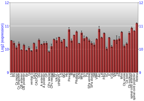 Expression graph