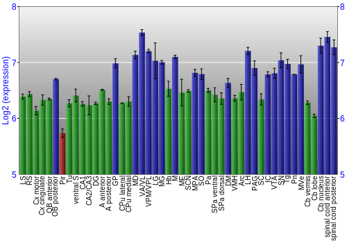 Multi-state expression graph