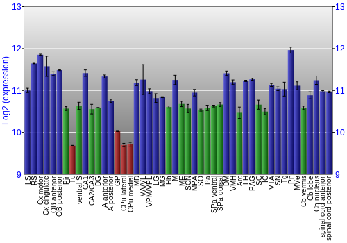 Multi-state expression graph