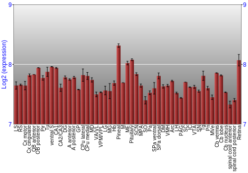 Expression graph