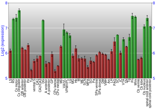 Multi-state expression graph