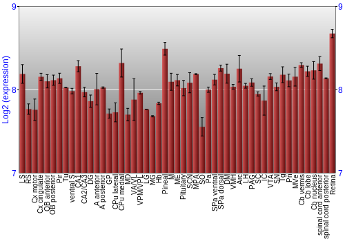 Expression graph