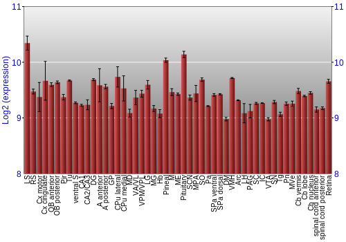 Expression graph