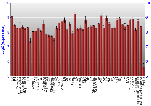 Expression graph
