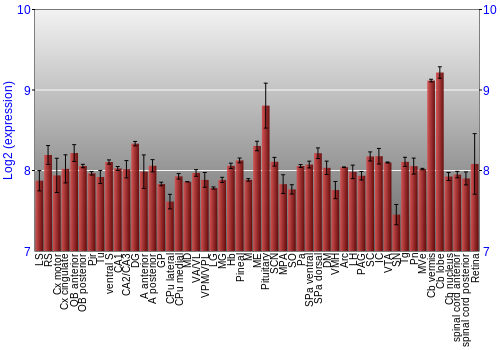 Expression graph