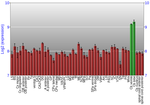 Multi-state expression graph