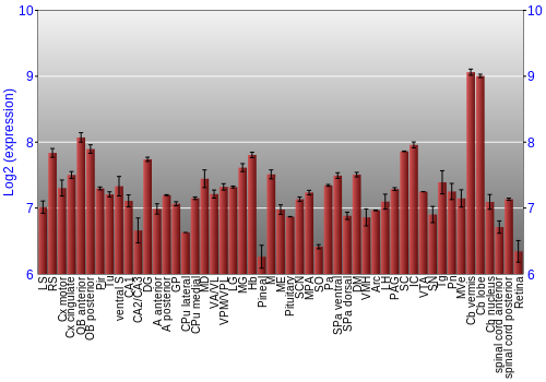 Expression graph