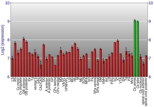 Multi-state expression graph