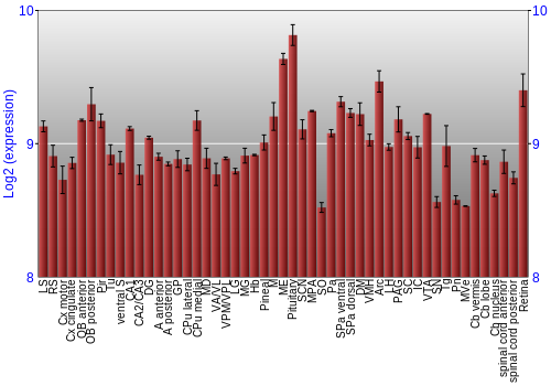 Expression graph