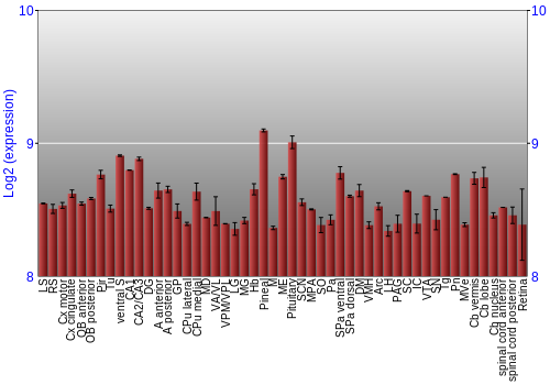 Expression graph