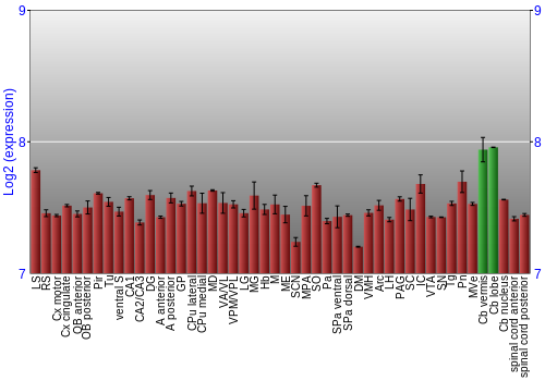 Multi-state expression graph