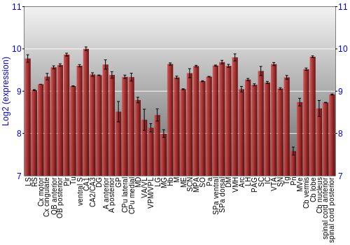 Multi-state expression graph