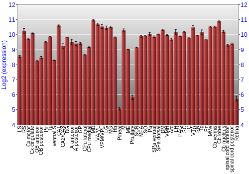Expression graph