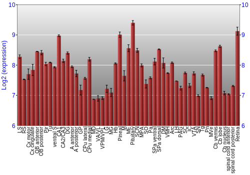 Expression graph