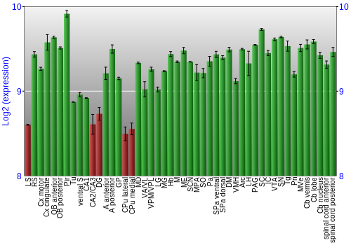 Multi-state expression graph