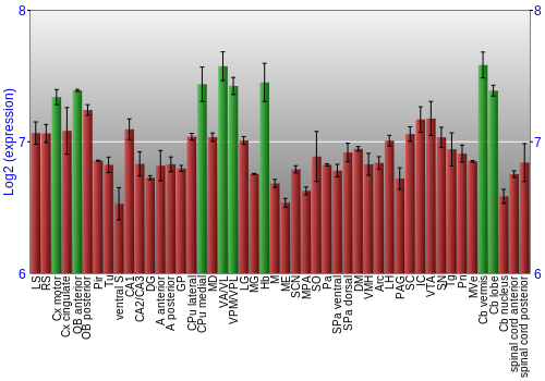 Multi-state expression graph