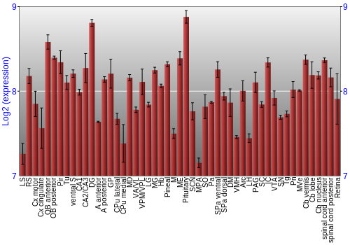 Expression graph