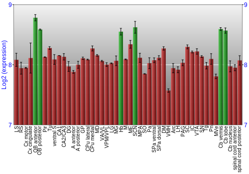 Multi-state expression graph
