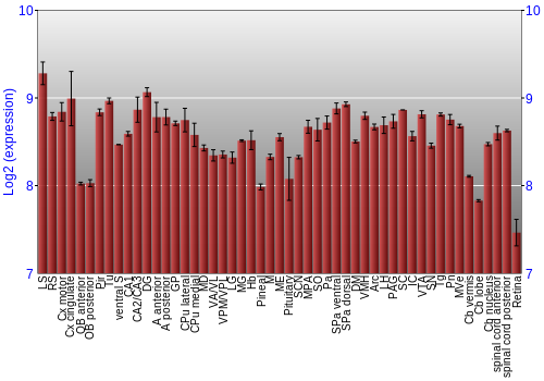 Expression graph