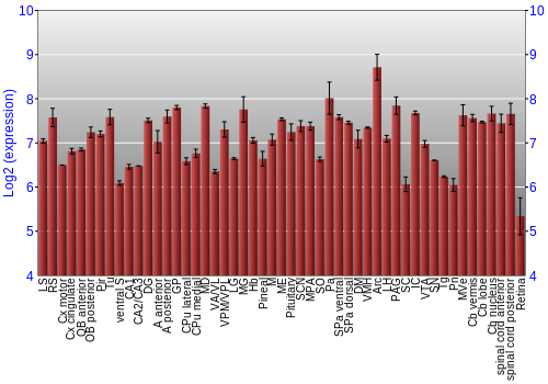 Expression graph