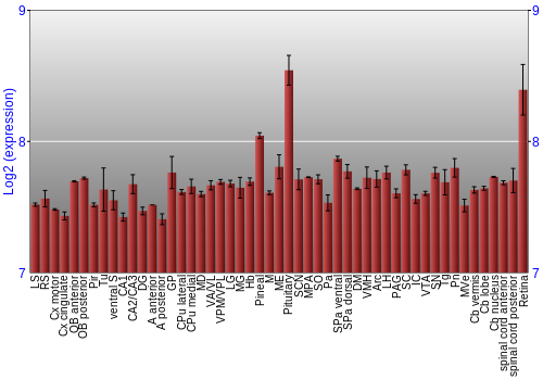 Expression graph
